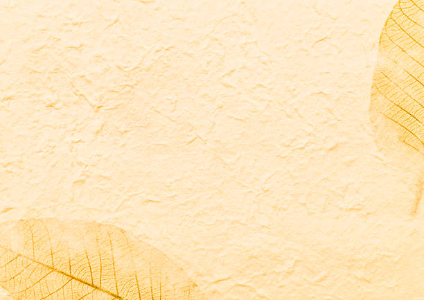 Yellow paper with dry leaves pattern background, blank yellow paper texture background