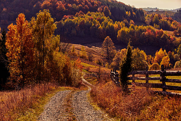 Autumn colored trees and countryside landscape scenery.