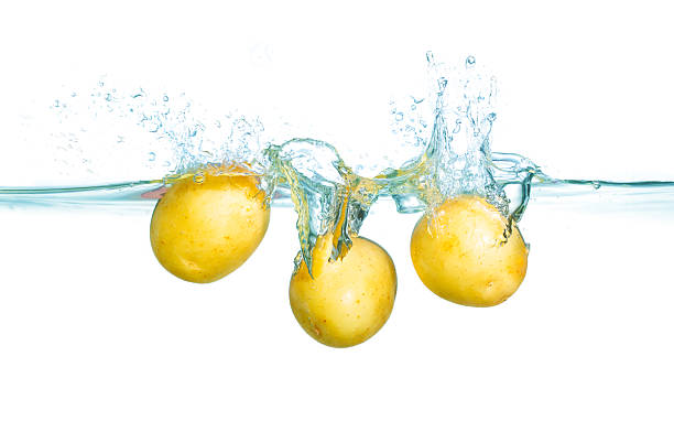 istock Fresh New Potatoes Splashing Into Clear Water For Culinary Use 2230715182