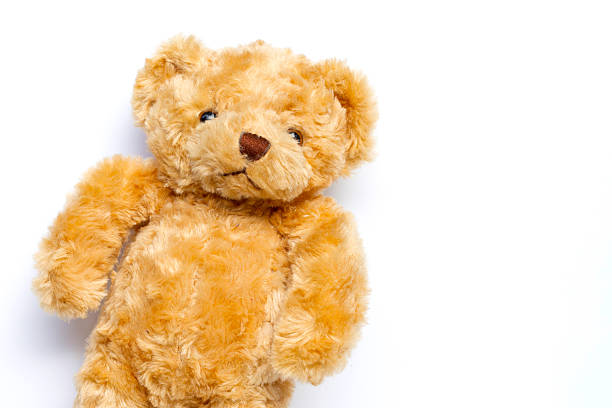 istock Cute brown teddy bear plush toy on a white background. 2230715952