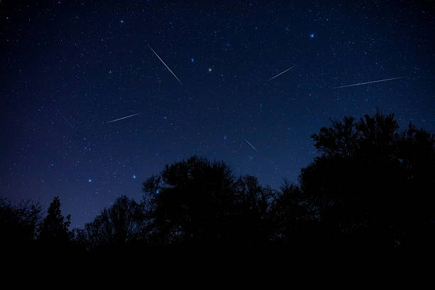 istock Milky Way stars and rural countryside tree silhouettes 2230716009