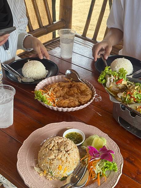 istock steamed rice topped with chicken 2230719454