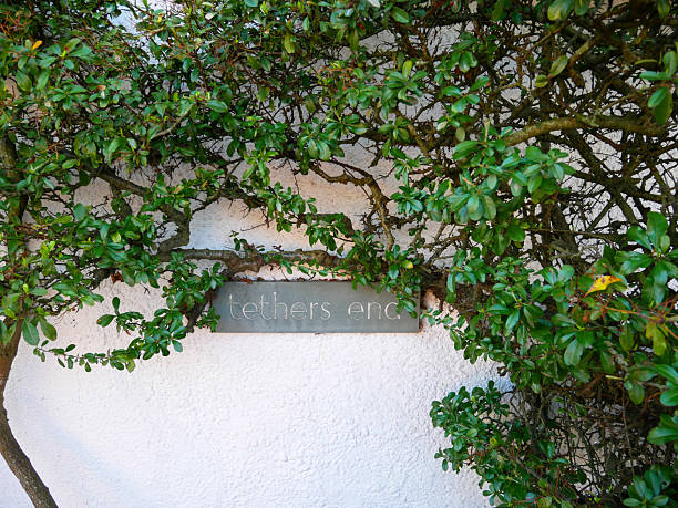 Topsham, Devon, England, UK - March 2, 2023.An engraved cottage name in stone of Tethers End against a white wall surrounded by a climbing plant in Topsham, Devon, England, UK.