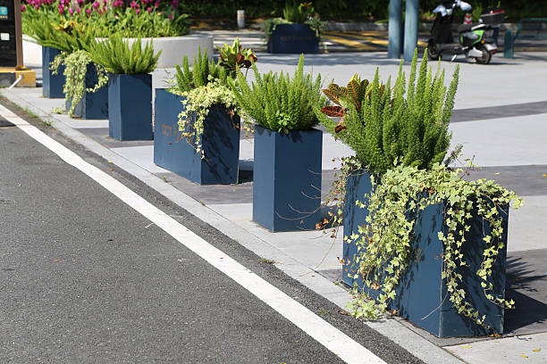 istock 5 blue square planters with different types of plants in them, sitting on the sidewalk along an empty street, in a modern urban setting. 2230723193