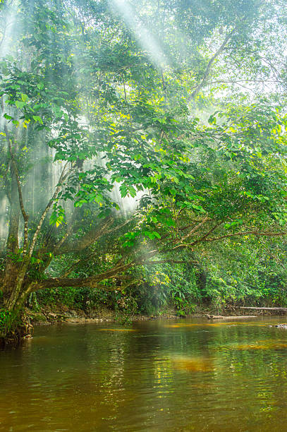 istock Serene River in Putumayo, Colombia 2230725094