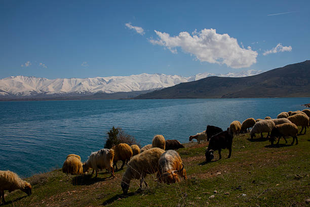 istock View of Mount Ararat from Van city 2230729564