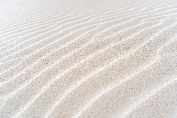 istock Close-up detail of natural patterns on sand dune surface 2230731242
