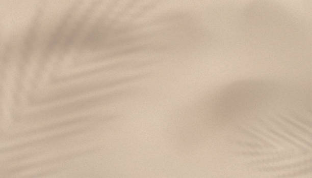 istock Beige sand texture background with soft tropical palm leaf shadows for natural product display,spa branding,organic skincare promotion,Vector minimalist packaging mockups or wellness ads 2230733057