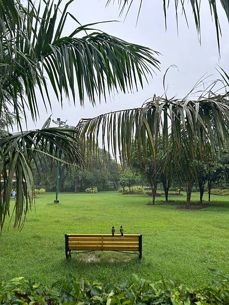istock Serene park scene with birds on a bench 2230733260