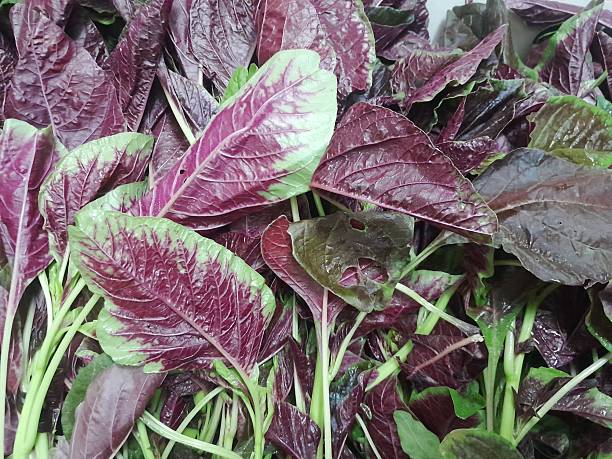 istock Chinese stem spinach amaranth vegetable raw food. Spinach amaranth healthy nutritional vegetable. 2230739152