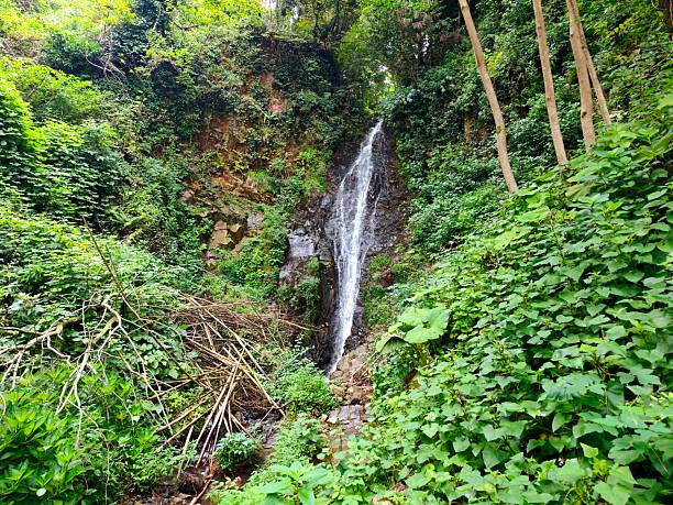 istock Young woman and waterfall in Batumi tsikitdziri 2230740426
