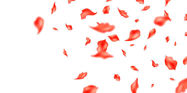 istock Orange petals falling on abstract floral background with beautiful petal pattern on greeting card. Vector illustration. 2230740884