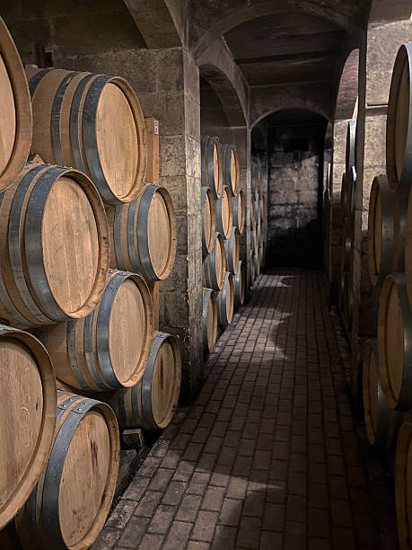istock barrels in the wine cellar 2230741175