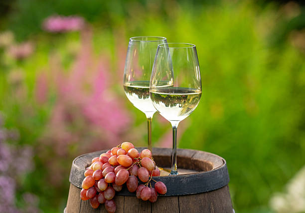 istock two glasses of white wine 2230741213