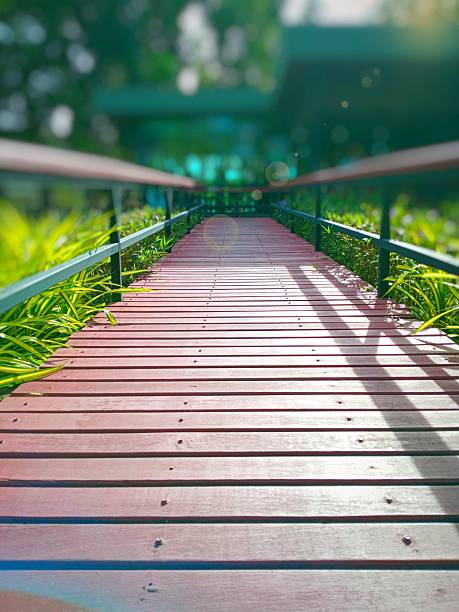 A walkway in the grass, a wooden bridge with iron railings