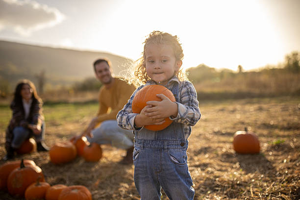 istock Young boy picking pumpkins in autumn field 2230742503