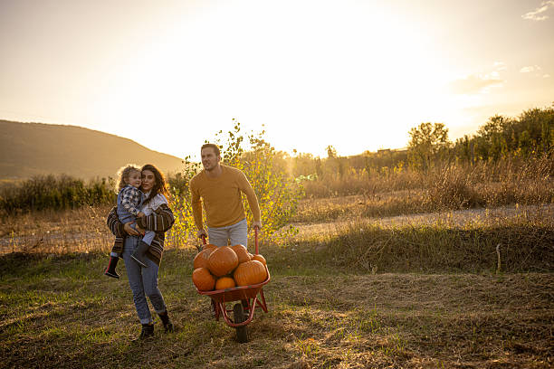 istock Family in a pumpkin patch 2230746425