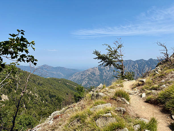istock Forest trail on the GR20 South 2230749376