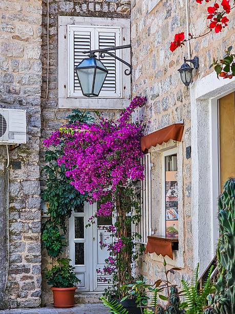 istock Blooming Tree on Stone Street in Old Town Budva, Montenegro 2230749721