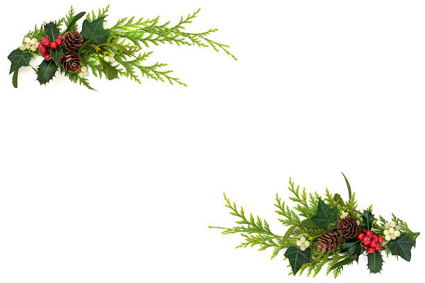 istock Christmas Winter Festive Decoration Nature Design 2230749959