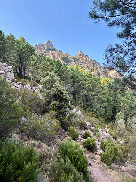 istock The GR20 near Bavella 2230752171