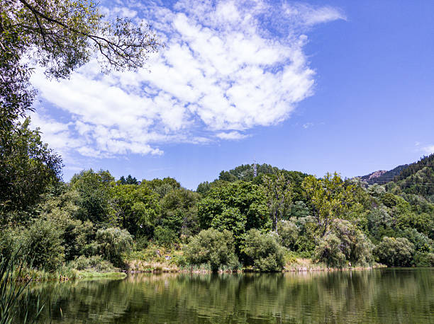 istock VIew to lake, trees and hills 2230754150
