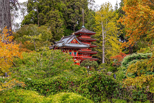 istock Pagodas and tea house. 2230755035