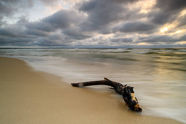 Long exposure image at Rathtrevor Beach Provincial Park, Parksville, British Columbia, Canada