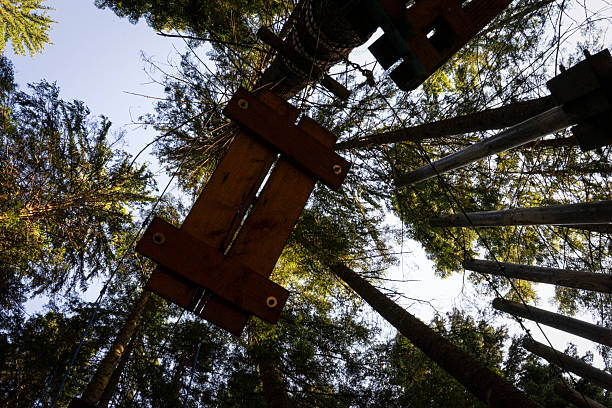 Shot from below, a network of ropes course platforms reaches toward the sky, creating a captivating labyrinth amidst the towering trees and inviting adventurers to explore the heights of the forest.