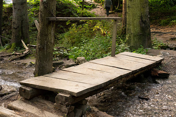 A rustic wooden platform blends seamlessly into the forest floor, creating a natural passage for adventurers exploring the woodland terrain. This bridge invites participants to connect with the beauty of the surrounding environment.
