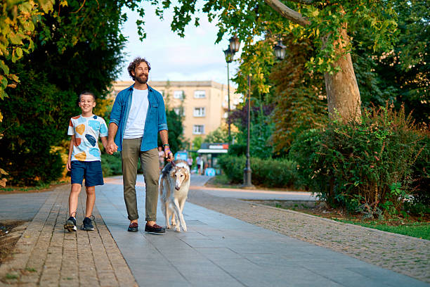 istock Father and son walking Borzoi dog in a park 2230759599