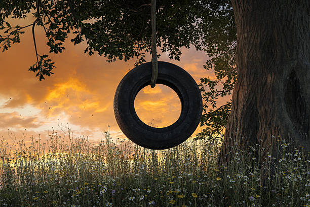 istock 3D Rendering of an old tire swing next to an oak tree in a bee meadow 2230766869