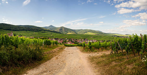 Beautiful sweeping vineyards of Hunawihr, Alsace with a picturesque village nestled among rolling hills and clear skies.