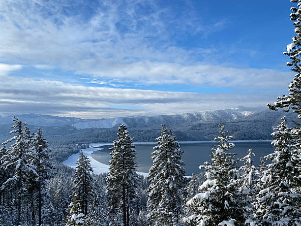 Washington State, Roslyn Snow Trees