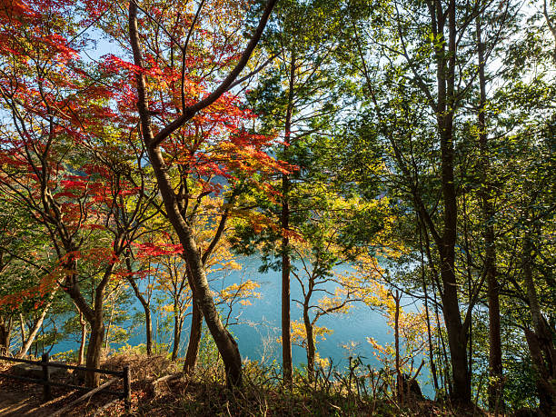 istock Autumn Colors by the Lakeside 2230779422
