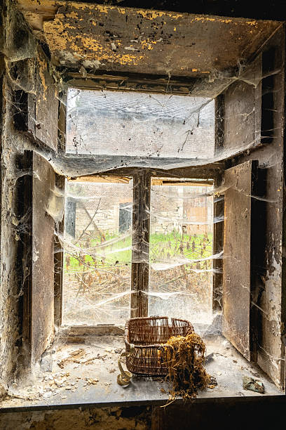 View out of a old window with two kinds of frosted glass