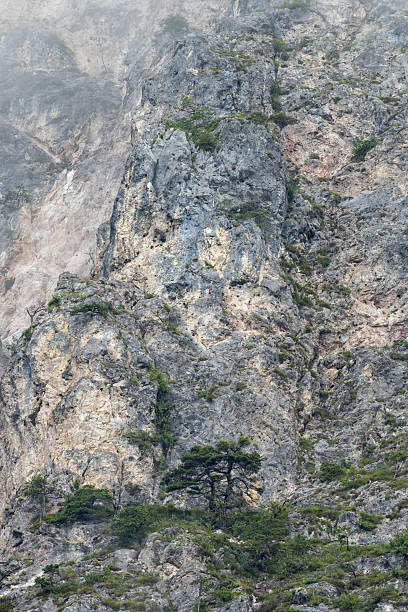 Fog slowly rising and unveiling a majestic rocky mountain with sparse vegetation, creating a dramatic and evocative landscape
