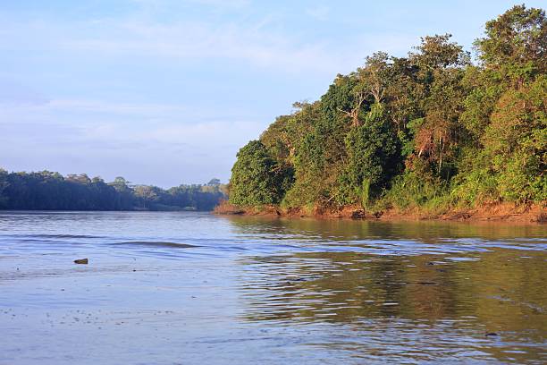 istock Borneo nature - Kinabatangan River, Malaysia 2230789832