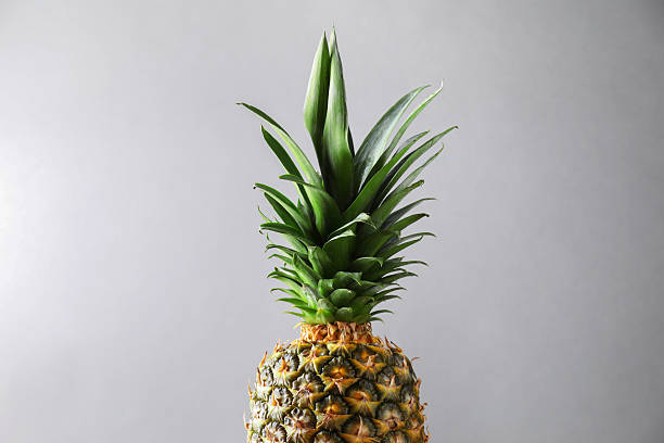 istock Fresh ripe pineapple on light grey background, closeup 2230793172