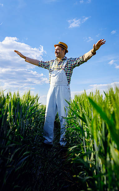 istock Smiling farmer standing in green wheat field with arms outstretched. 2230793614