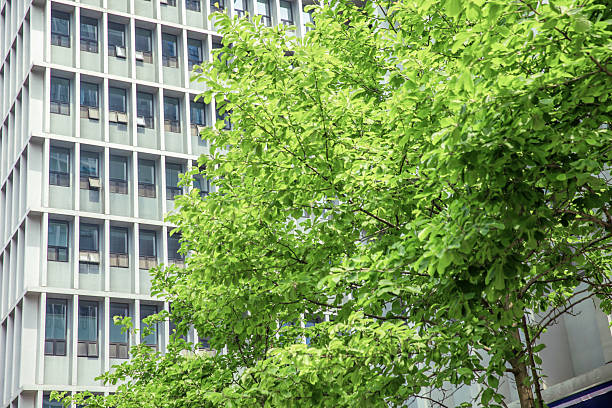 istock Bottom view of modern eco city 2230797149