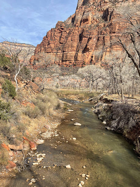 istock Hiking in Zion National Park, Utah 2230798628
