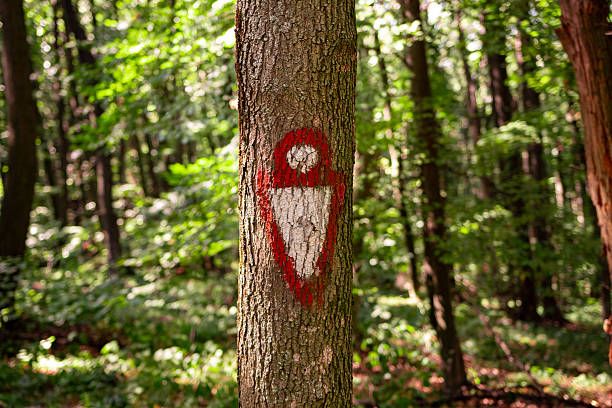 Trail marker on a hiking path in the Fruska Gora forest