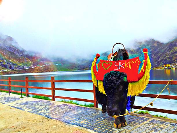 Tsomgo Lake in Sikkim ,India