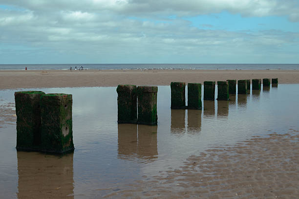 Old wooden posts on sandy beach in England