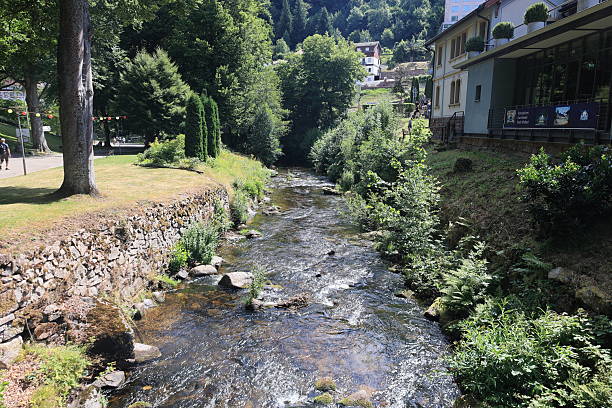 istock River Enz in the spa park of Bad Wildbad in the Black Forest 2230809054