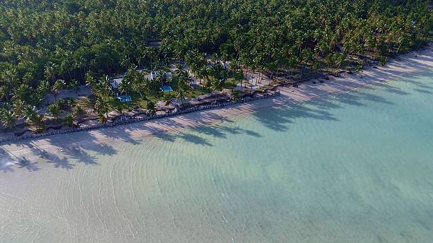 istock Sunset at paradise beach in Maragogi, Alagoas state, Brazil. 2230809752