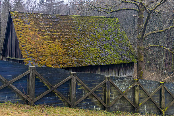 Old building with moss on the roof near the autumn forest