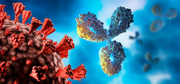 istock Medical model of antibody and virus 2230819797