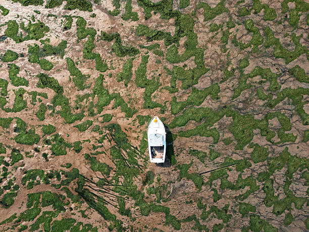 Aerial view of a white boat lying on the mudflats during low tide, surrounded by seaweed